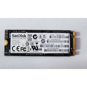 SanDisk SD6SP1M-256GB M2 SSD