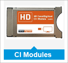 CI modules